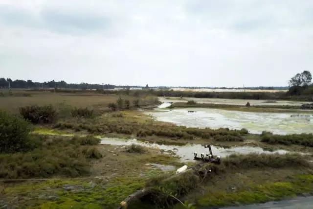 58cf45af697f8.jpg c5450c5.jpg